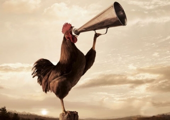 Acordando em Rio dos Cedros